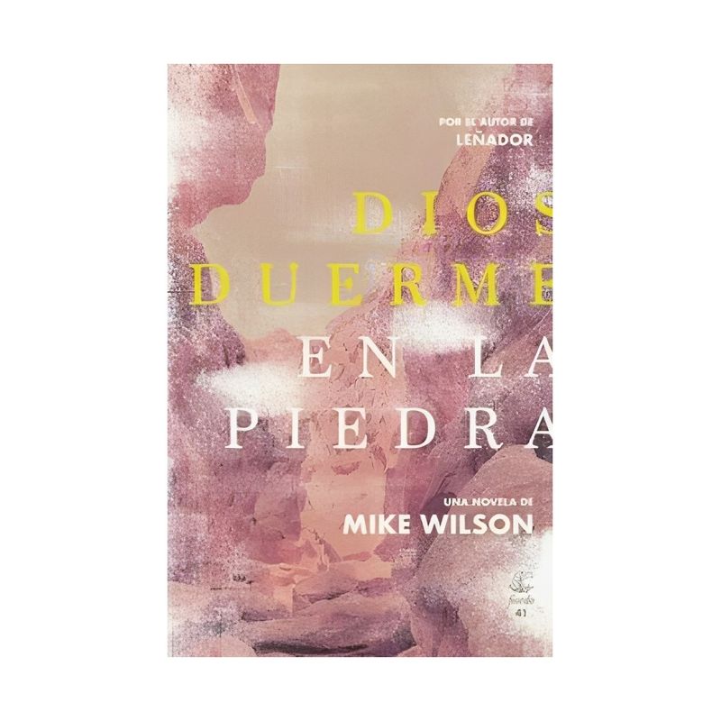 TOP10BOOKS - LIBRO DIOS DUERME EN LA PIEDRA / MIKE WILSON / FIORDO