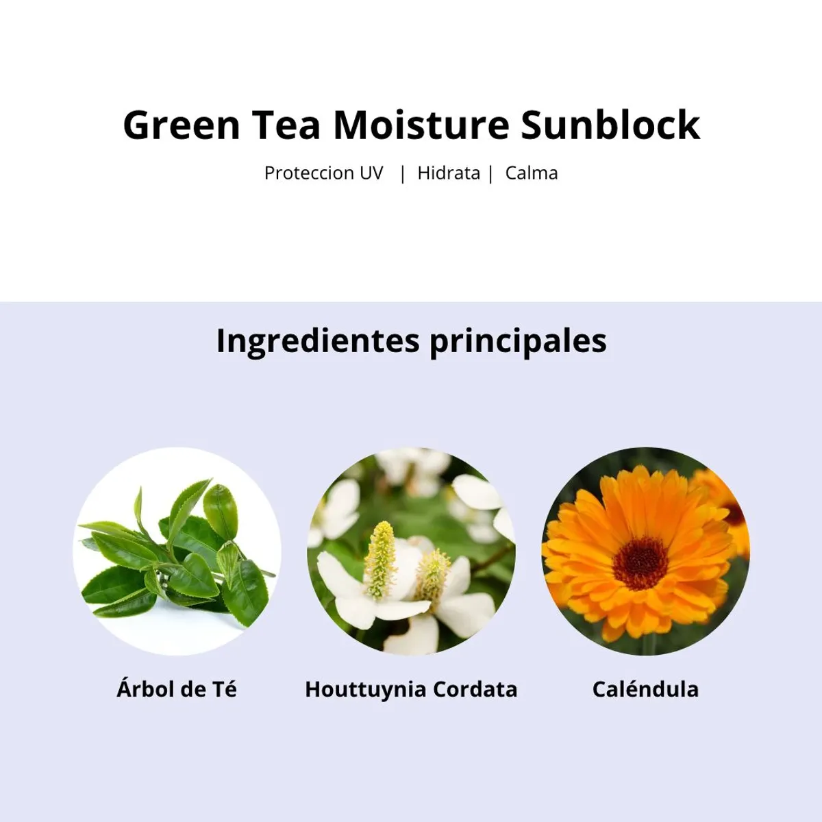 ASISTOBE - Asis-Tobe Protector Solar Té Verde Cosmética Coreana