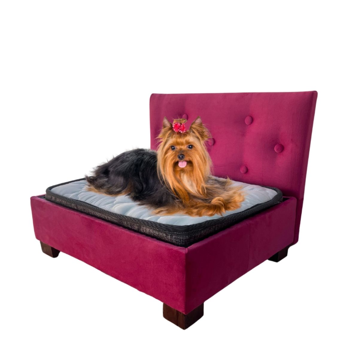 GENERICO - Cama Mascota 50x60