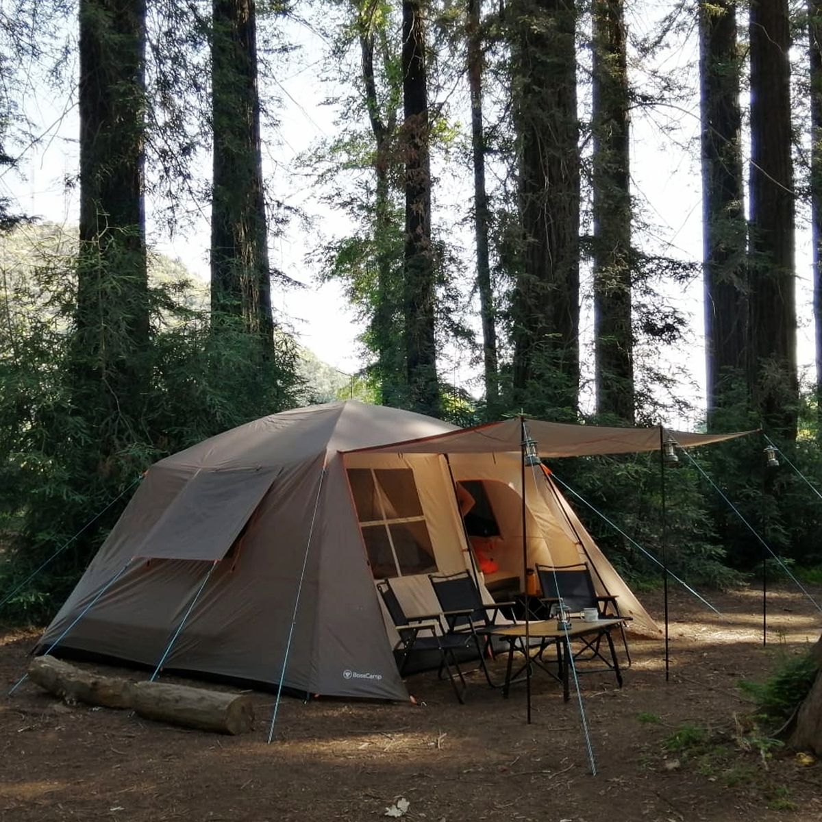 BOSSCAMP - Carpa Quintay X 10 Personas Bosscamp 3000 Mm Techo Largo