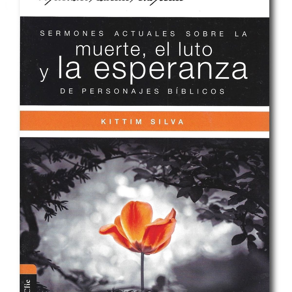 GENERICO - Sermones actuales sobre la muerte el luto y la esperanza de personajes bíblicos