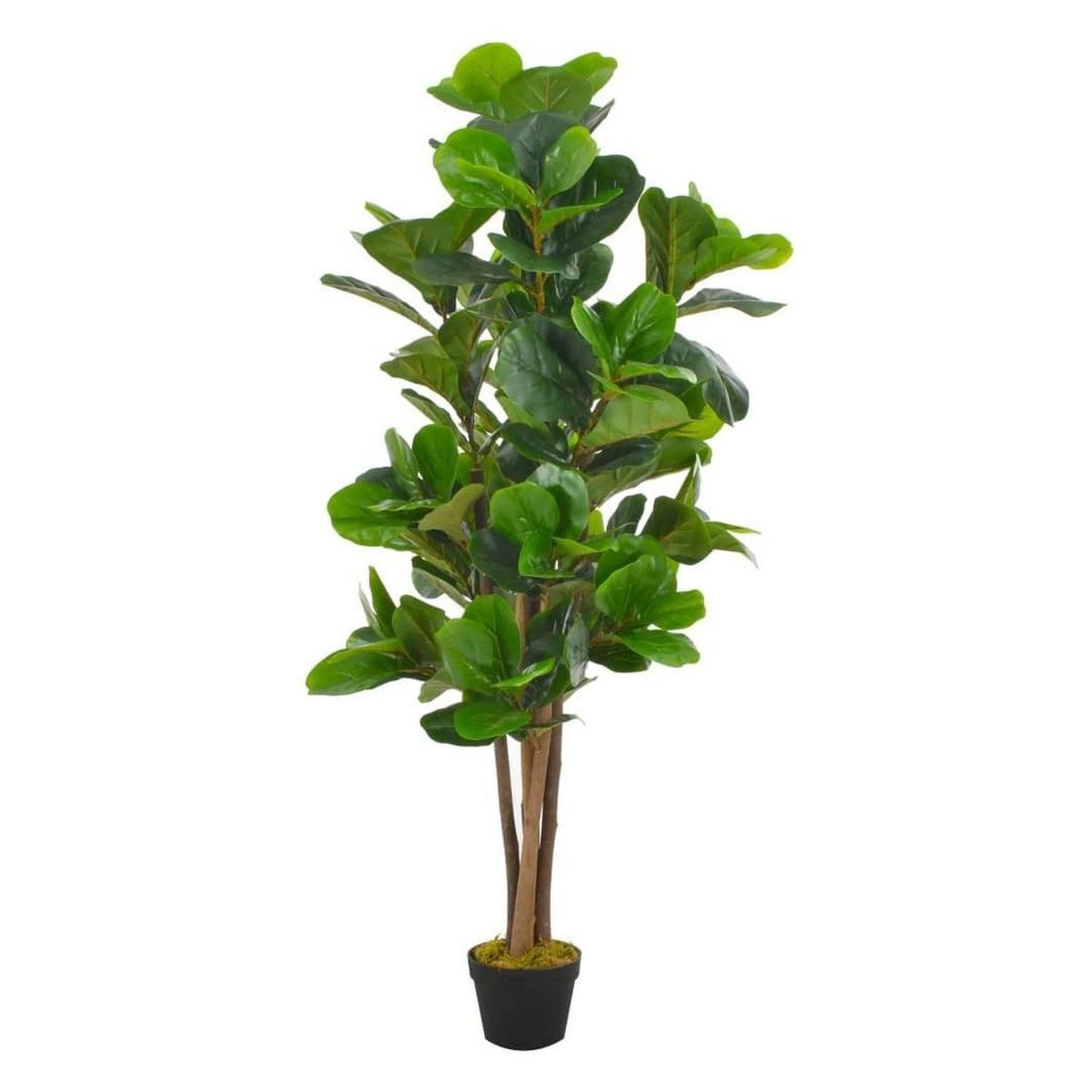 ARBUSTO REAL - Planta Artificial Ficus Lyrata 150 Cm y 180 hjs Premium/ Arbusto Real
