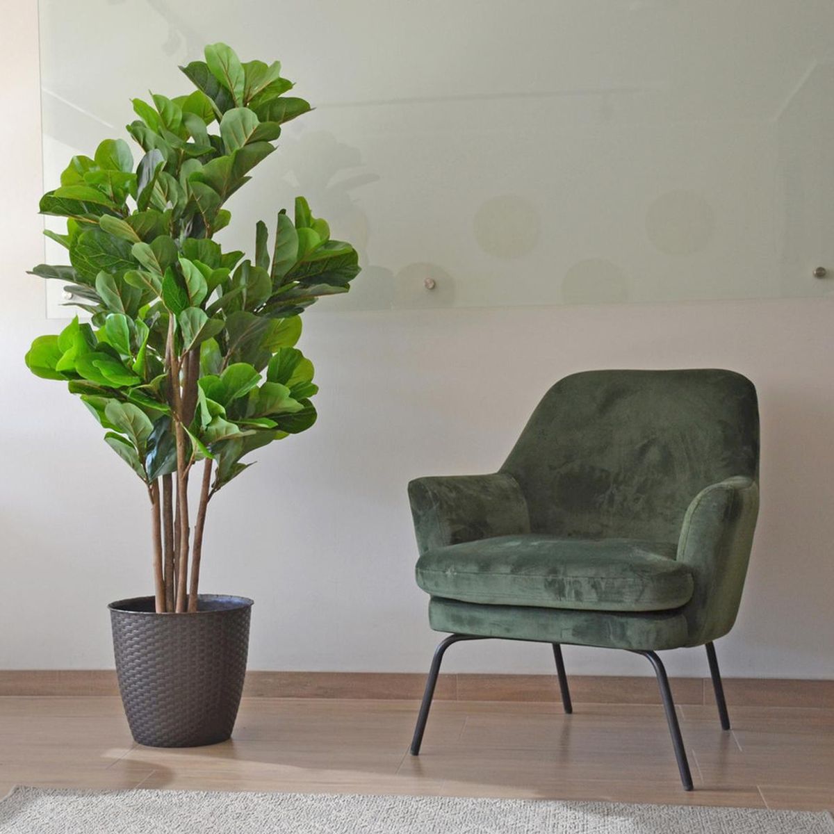 ARBUSTO REAL - Planta Artificial Ficus Lyrata 150 Cm y 180 hjs Premium/ Arbusto Real