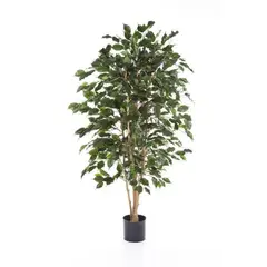 ARBUSTO REAL - Planta Artificial Ficus Premium 120 cm. 630 hjs /