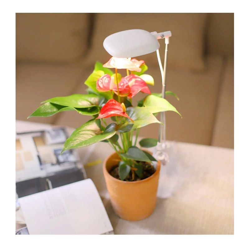 GENERICO - Lámpara de luz led para crecimiento de cultivos indoor 10w