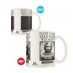 PYRAMID INTERNATIONAL - Tazón mágico Harry Potter Sirius Black Wanted
