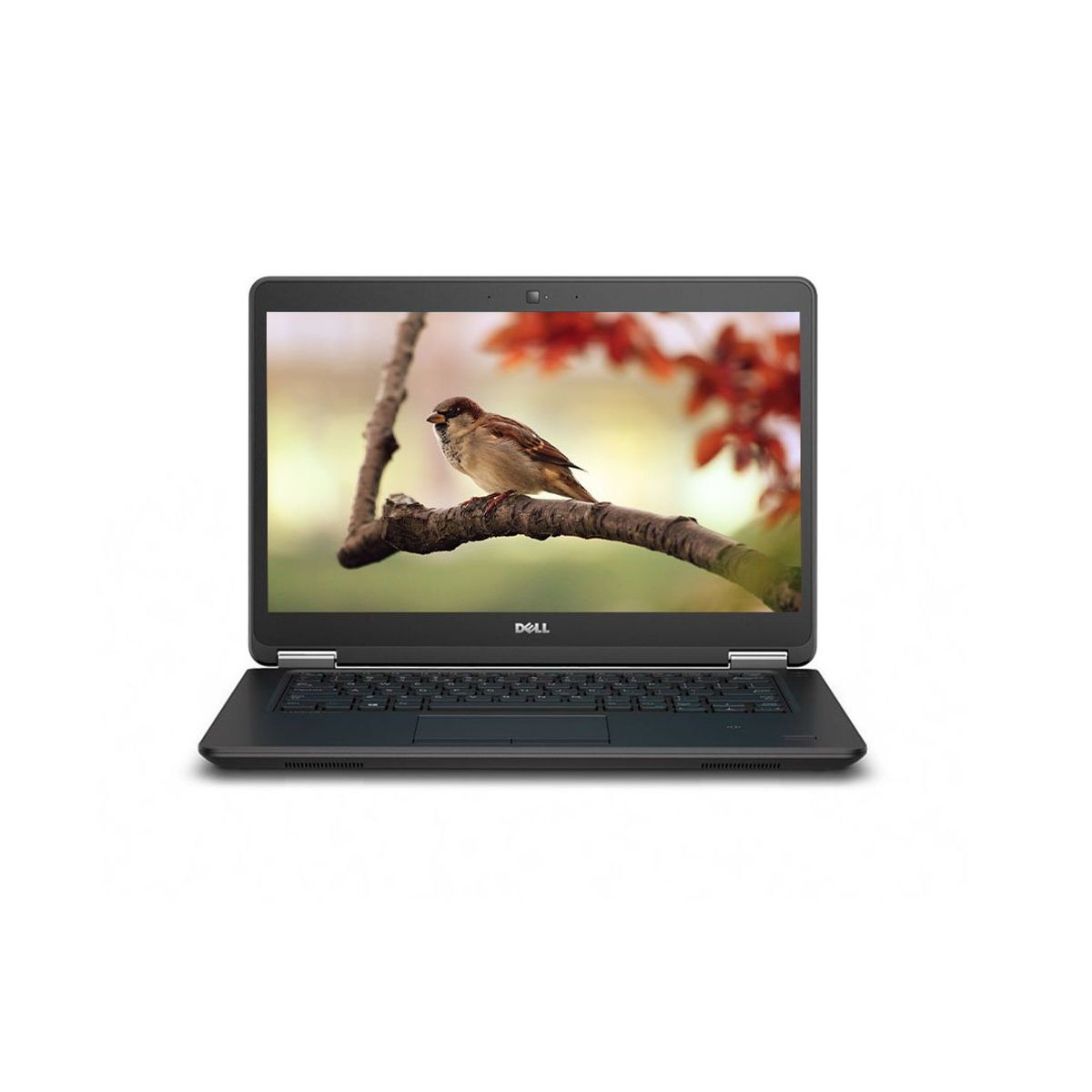DELL - Notebook Dell Latitude CORE I7 8GB DE RAM SSD