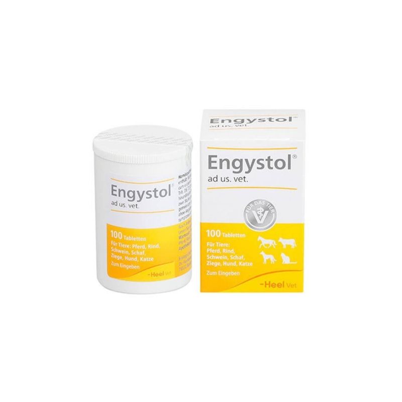 GENERICO - Engystol Vet 100 Tabletas Heel