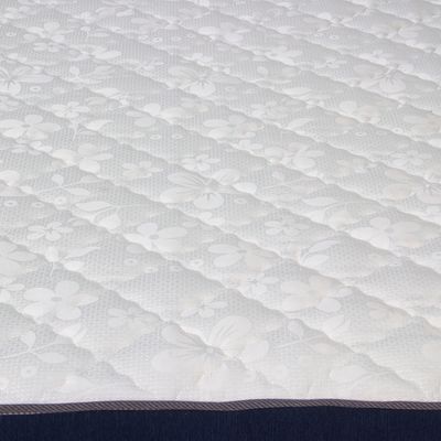 Imagen 2 del producto Colchón América 1.5 Plazas Azul 105x190x23 Cm