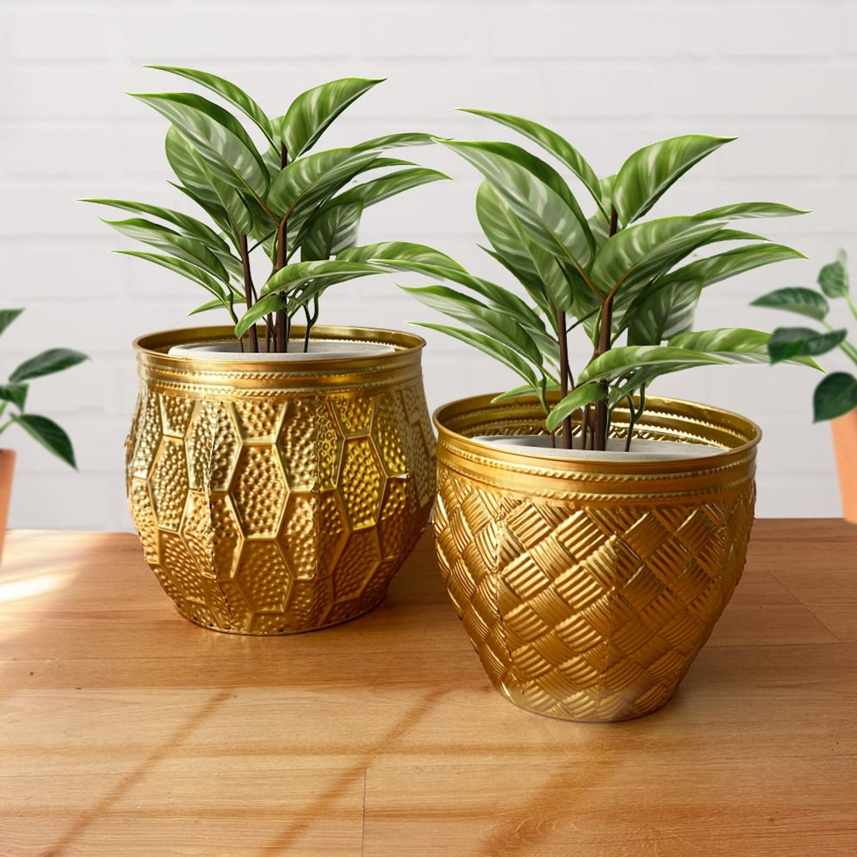 GENERICO - Set 2 Macetas Maceteros Grandes Doradas