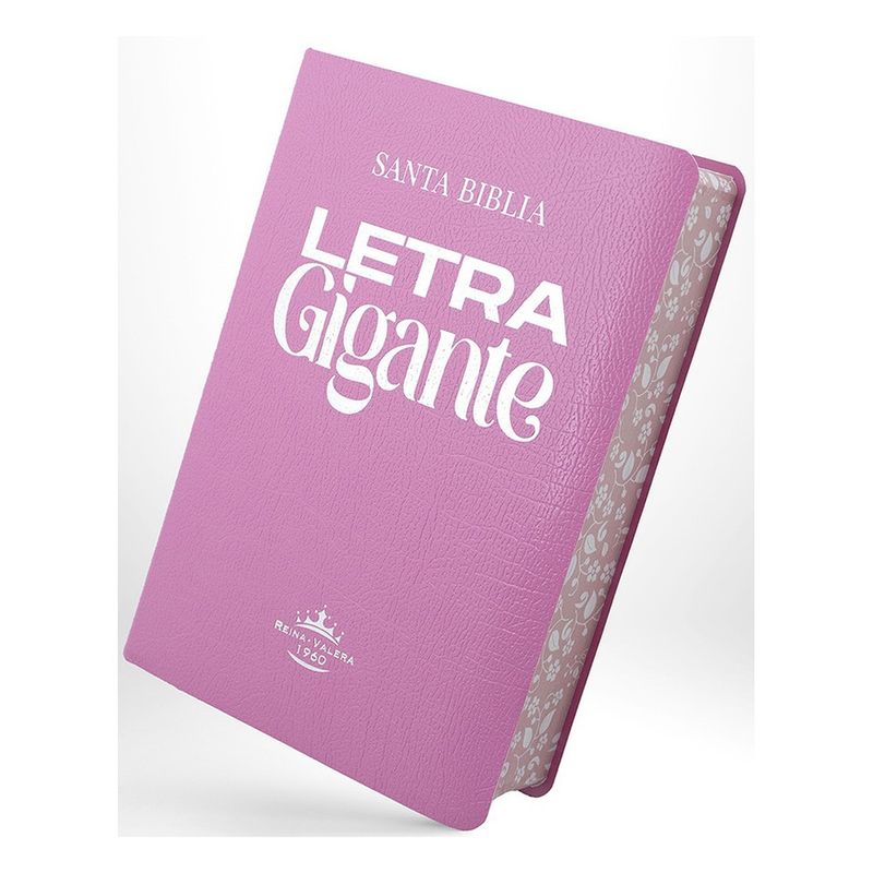 ANTARTICA LIBROS - Biblia RVRO65C Letra Gigante Rosa