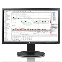 LG - Monitor 24"Pivot IPS Full HD VGA HDMI DVI 5ms 24MB35PH-B