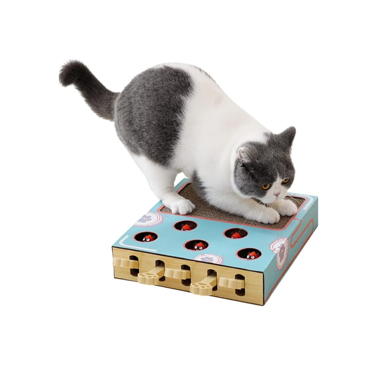GENERICO - Rascador Para Gatos Juguete Interactivo