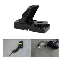 15 Trampas Para Ratones Seguras Efectivas