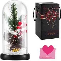 GENERICO - Árbol de Navidad en Cúpula de Cristal con Luces LED