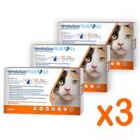 Pipeta REVOLUTION PLUS 2,5 a 5 kg Pack 3 unidades