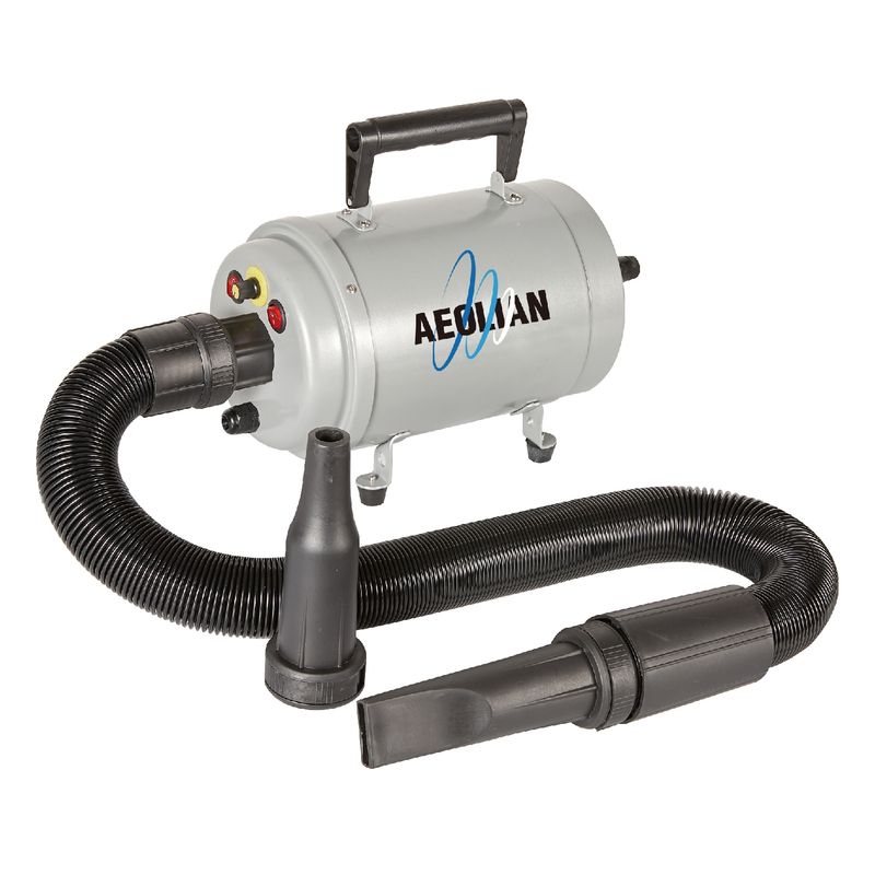 AEOLUS - Turbina de motor único AEOLIAN