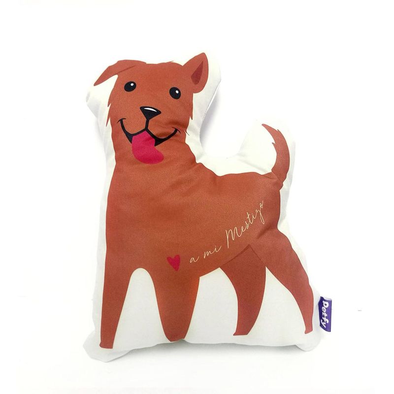 PETFY - Petluche - Mestizo - Negro
