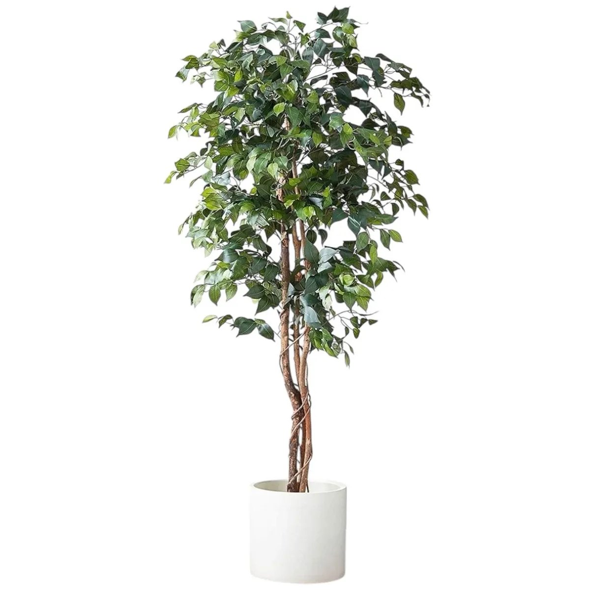 ARBUSTO REAL - Planta Artificial Ficus Premium 180 Cm / 1288 Hojas / Arbusto Real
