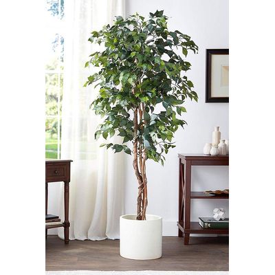 Imagen 2 del producto Planta Artificial Ficus Premium 180 Cm / 1288 Hojas /