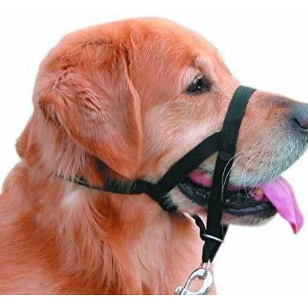 MASCAN - Collar Nylon Anti-pull Negro Perro Talla Xs Mascan