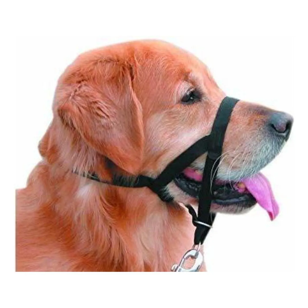 MASCAN - Collar Nylon Anti-pull Negro Perro Talla Xs Mascan