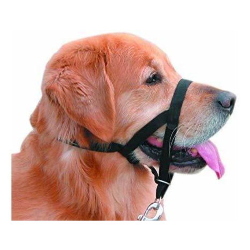 MASCAN - Collar Nylon Anti-pull Negro Perro Talla Xs Mascan