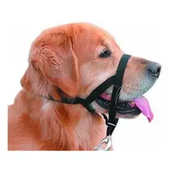 MASCAN - Collar Nylon Anti-pull Negro Perro Talla Xs