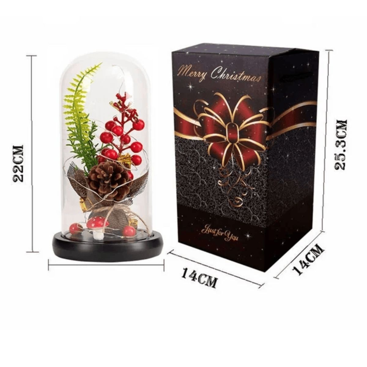 GENERICO - Piñón de Navidad en Cúpula de Cristal