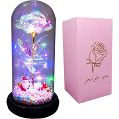 GENERICO - Rosa con Santa Claus en Cúpula de Cristal con Luces LED