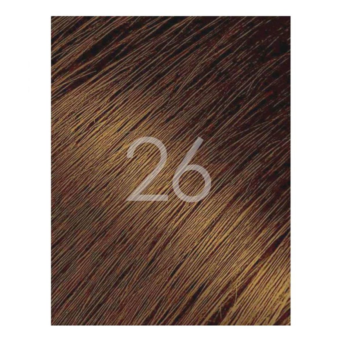 BIGEN - Tinte Permanente Polvo Mujer 26 Castaño Dorado Bigen