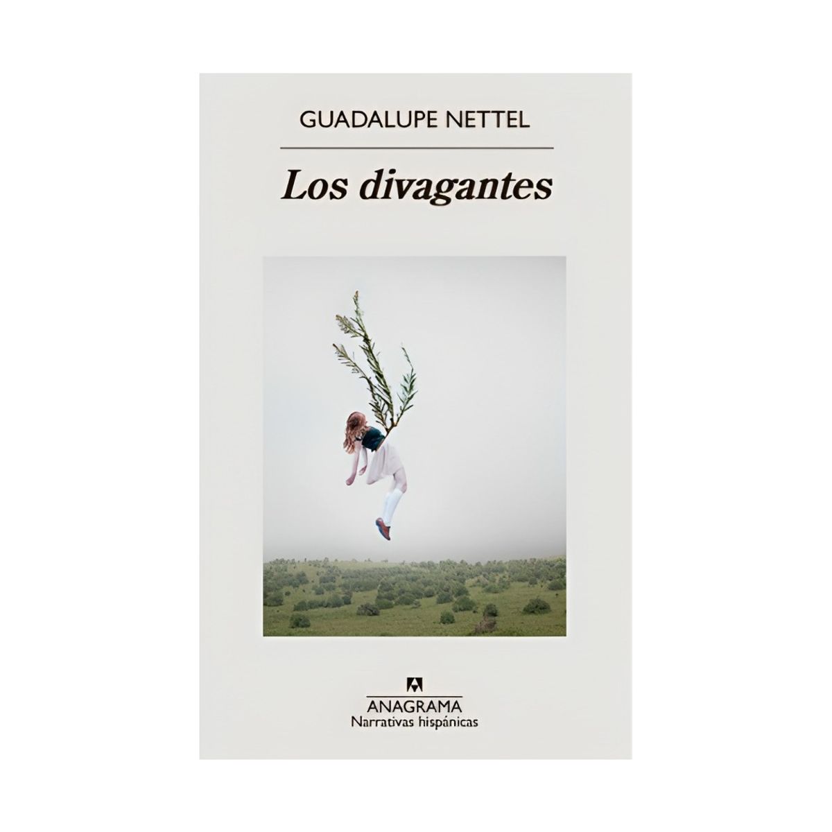 TOP10BOOKS - LIBRO Los Divagantes - Los Divagantes