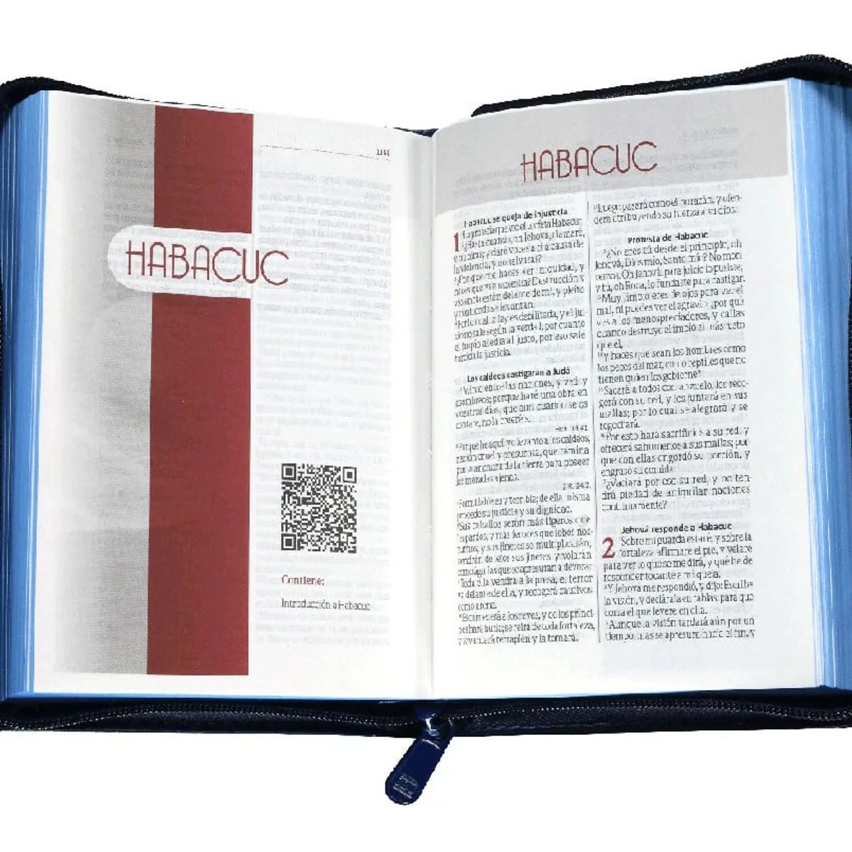 SOCIEDAD BIBLICA CHILENA - Biblia RVR1960 de bolsillo cierre y concordancia