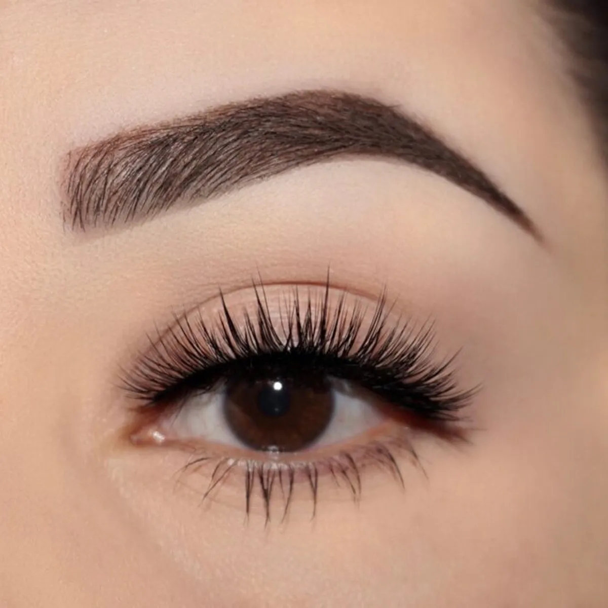 COLOURPOP - Pestañas Postizas HUNNI Falsies Faux Lashes Colourpop