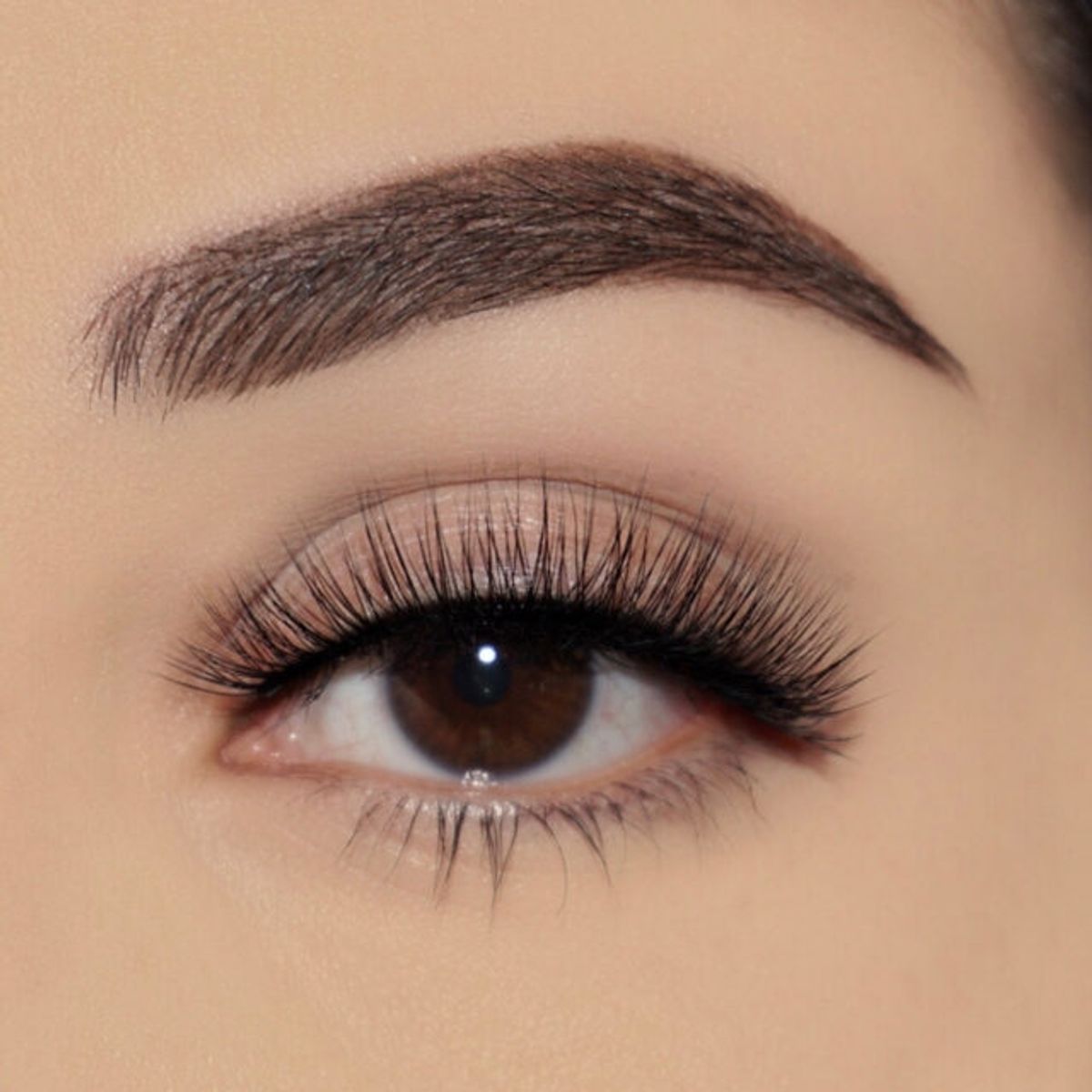 COLOURPOP - Pestañas Postizas MS Falsies Faux Lashes Colourpop