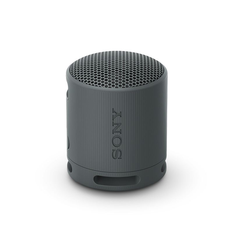 SONY - Parlante inalámbrico portátil XB100 Negro