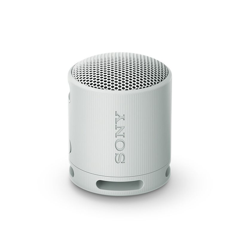 SONY - Parlante inalámbrico portátil XB100 Gris