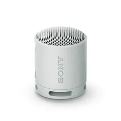 SONY - Parlante inalámbrico portátil XB100 Gris