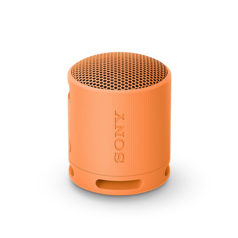 SONY - Parlante inalámbrico portátil XB100 Naranjo