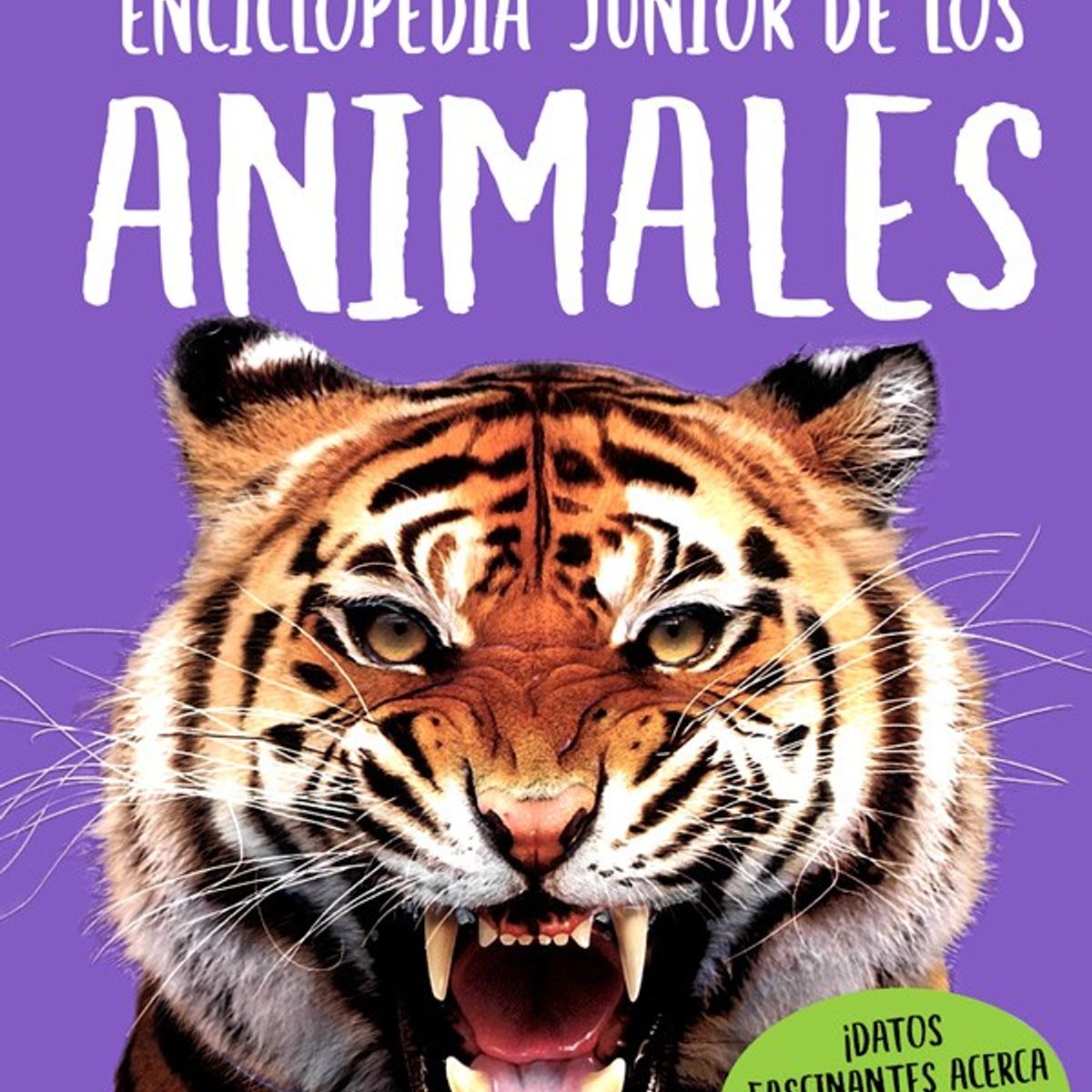 SILVER DOLPHIN - Enciclopedia Junior De Los Animales