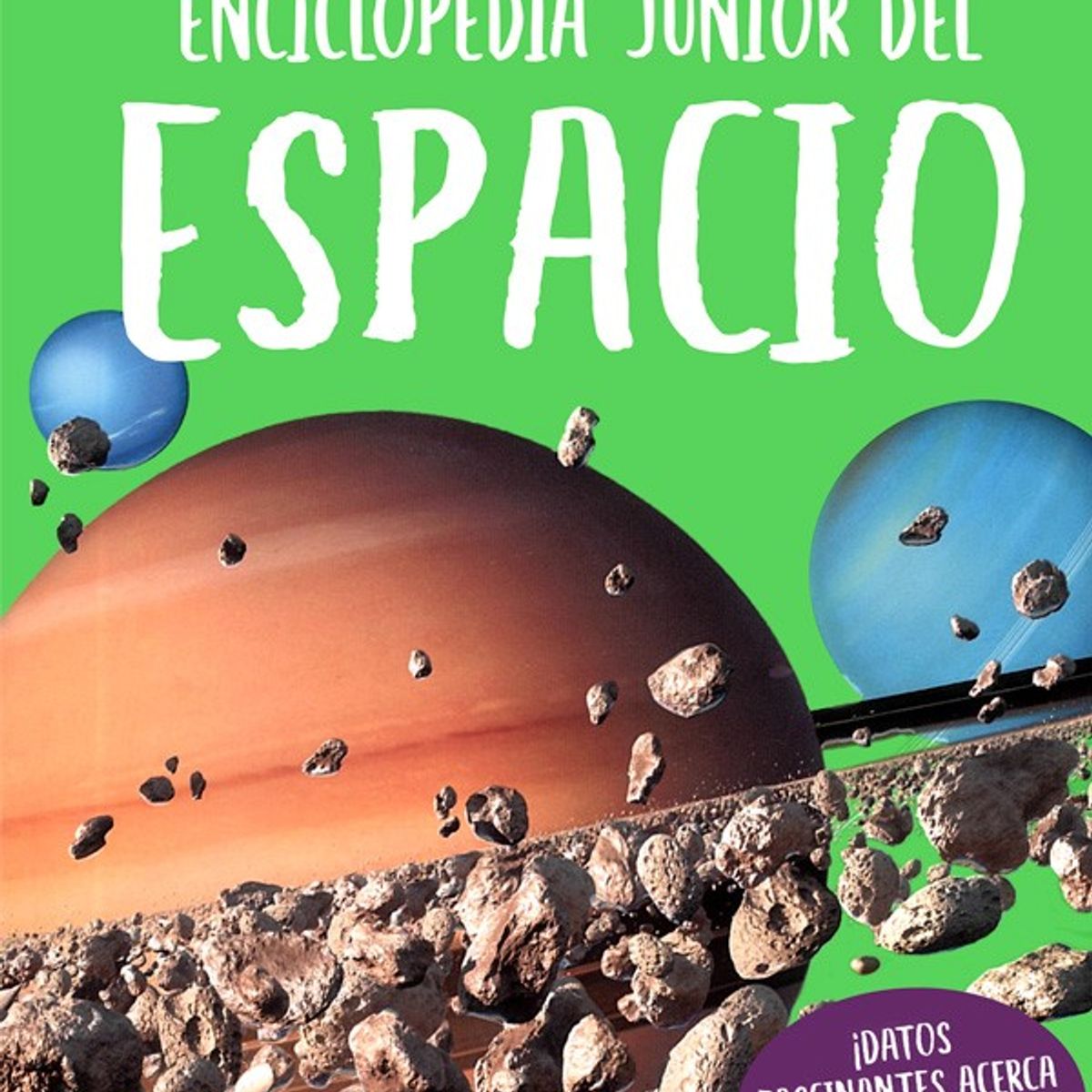 SILVER DOLPHIN - Enciclopedia Junior Del Espacio