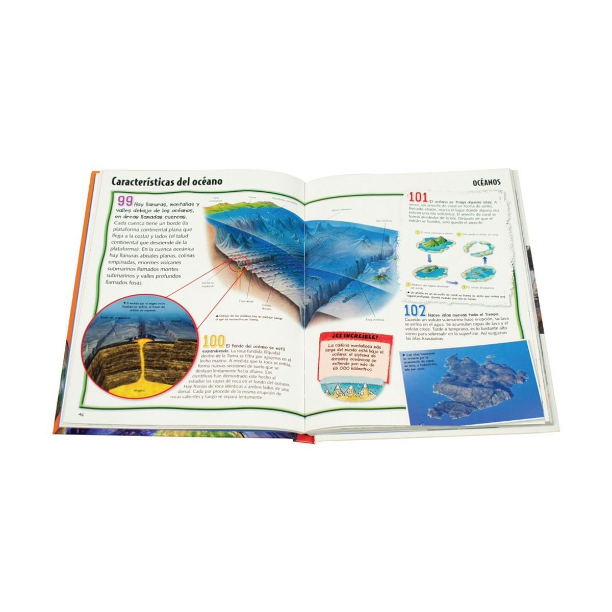 SILVER DOLPHIN - Enciclopedia Junior De La Tierra