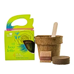 POT GARDEN - KIT DE SIEMBRA GOURMET CIBOULETTE