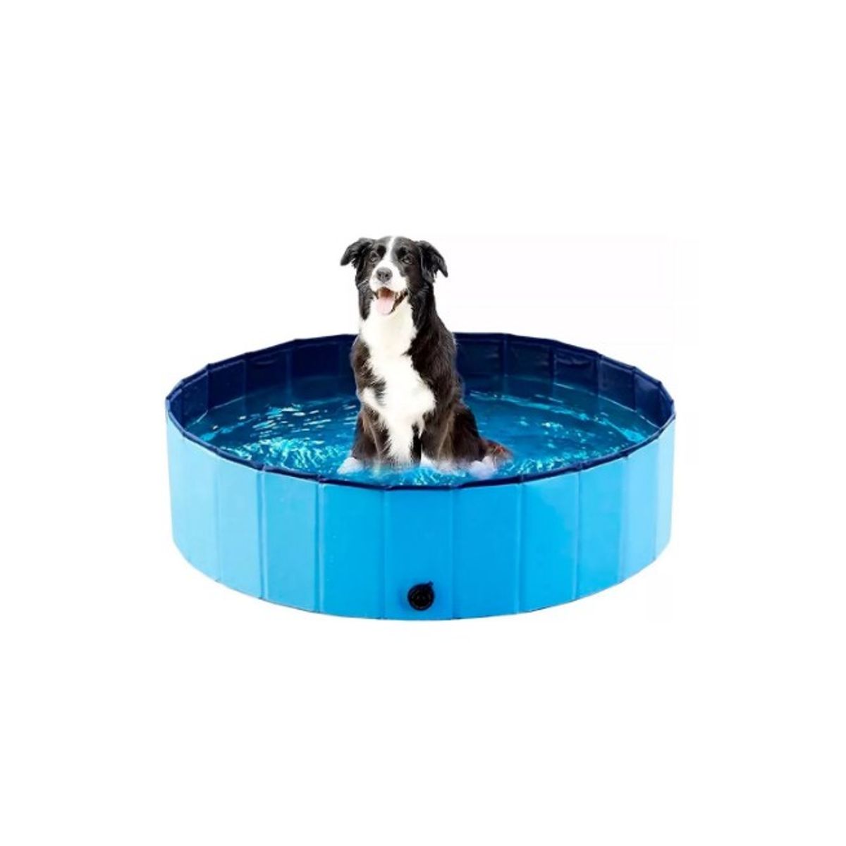 GENERICO - Piscina Para Mascotas Verano Talla XL 120 cm x 30 cm