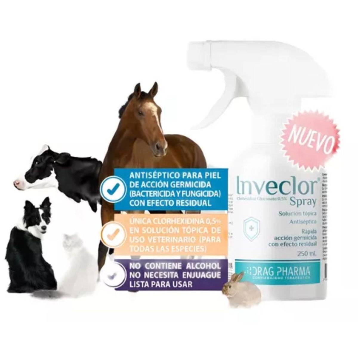 DRAG PHARMA - SOLUCION TOPICA ANTISEPTICA INVECLOR SPRAY CLORHEXIDINA 250