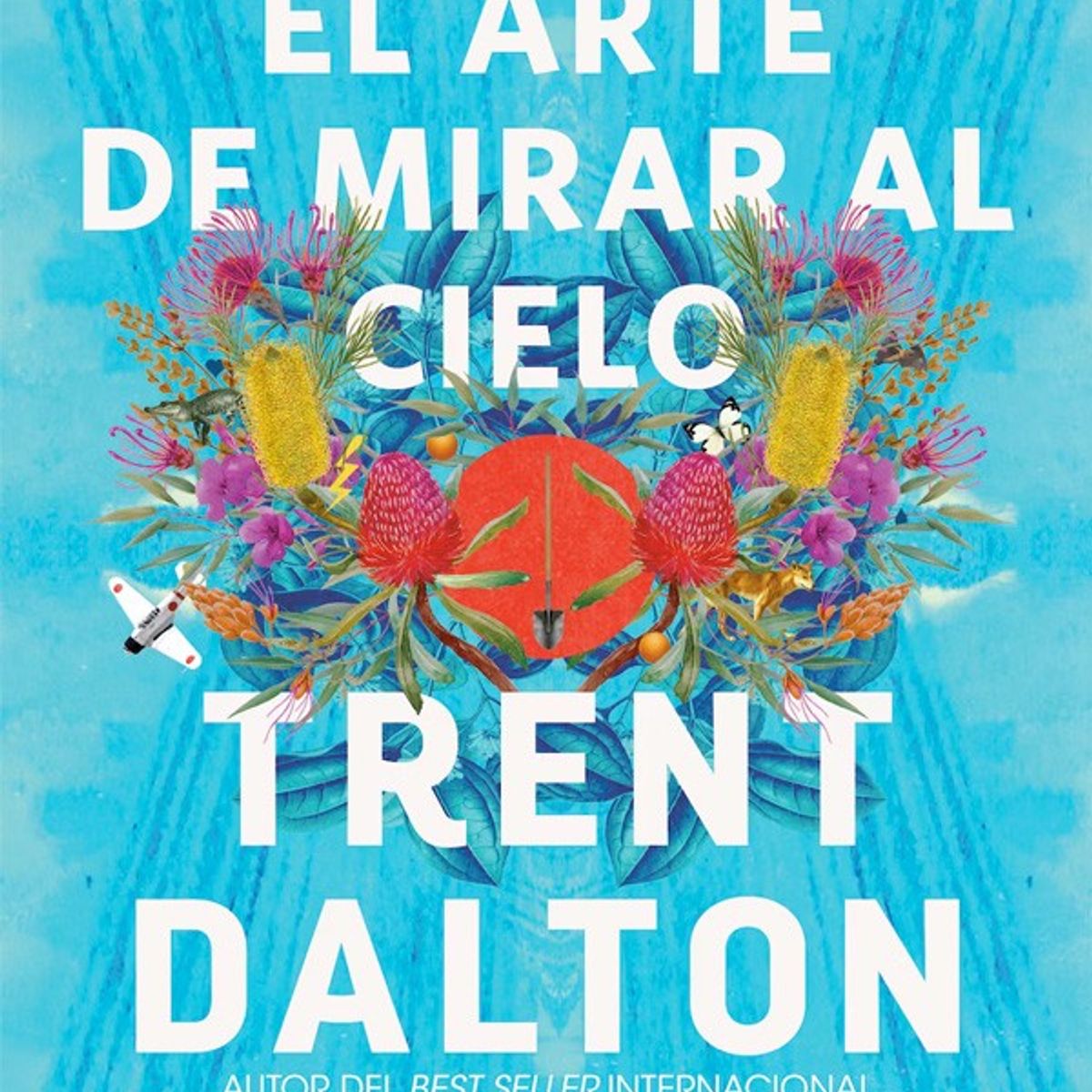 HARPERCOLLINS - El Arte De Mirar Al Cielo