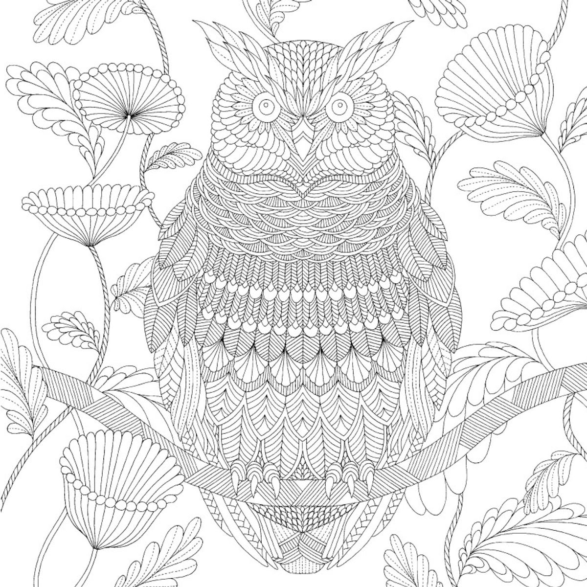 BLUME - Maravillas De La Vida Silvestre