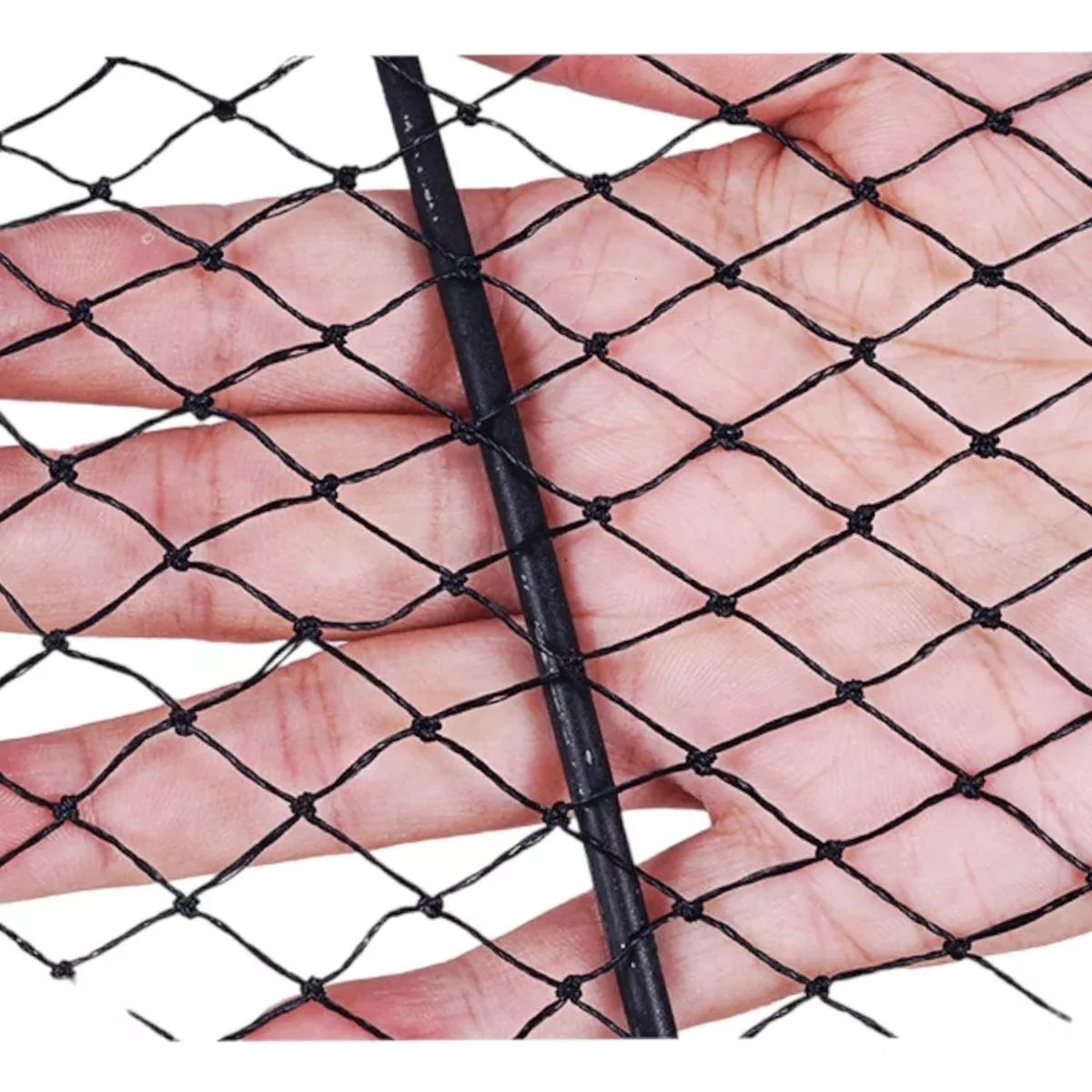 GENERICO - Trampa Red Plegable Pesca 60x30cm Rct4