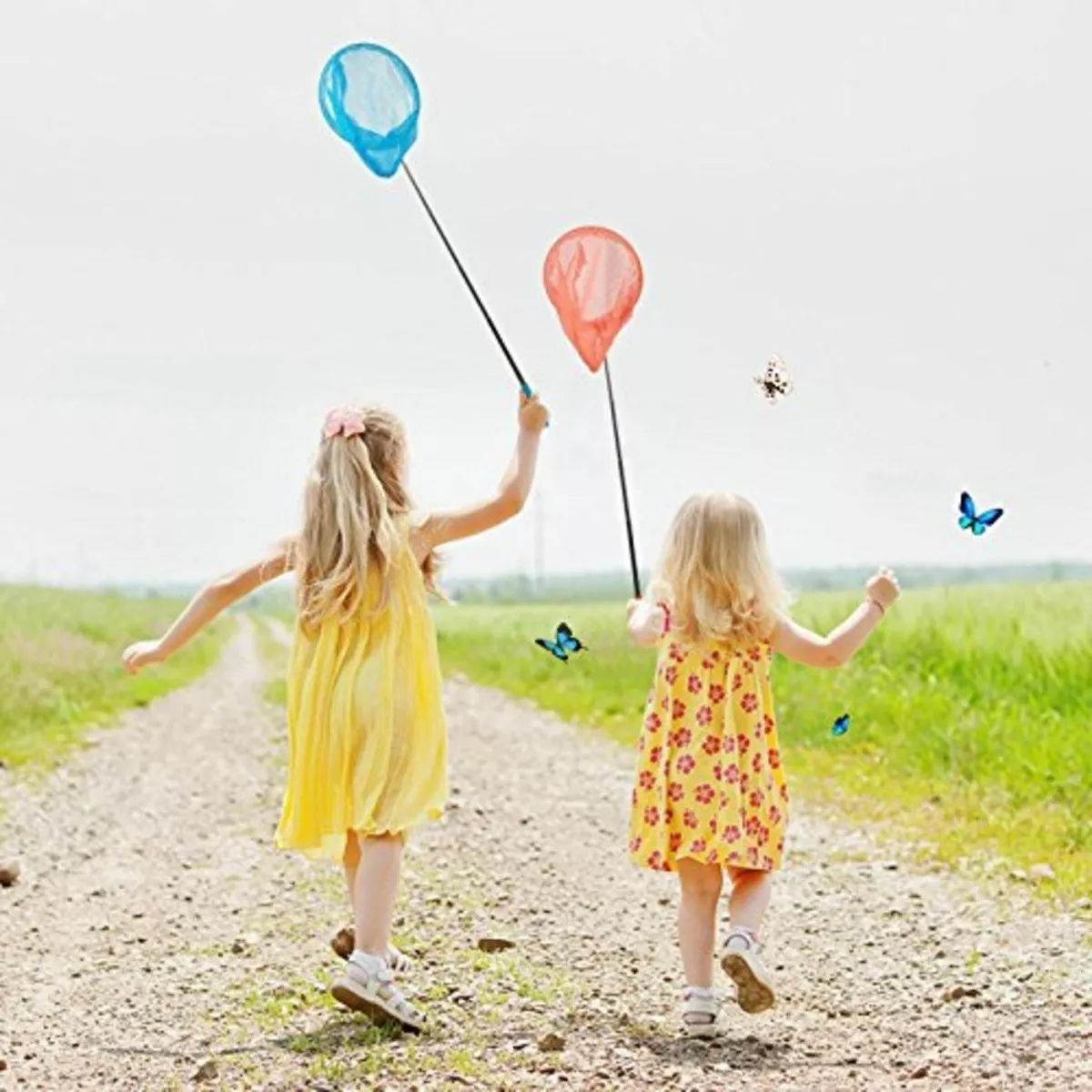 GENERICO - Red De Pesca Atrapa Mosca 120 cm de largo fijo