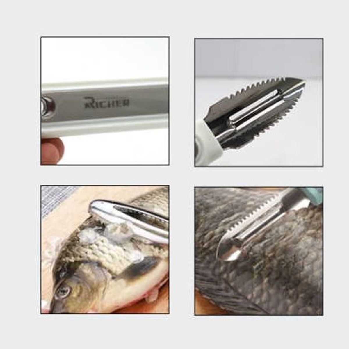 GENERICO - pelador y removedor de escamas